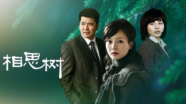 相思树