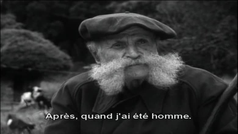 Maurin des Maures