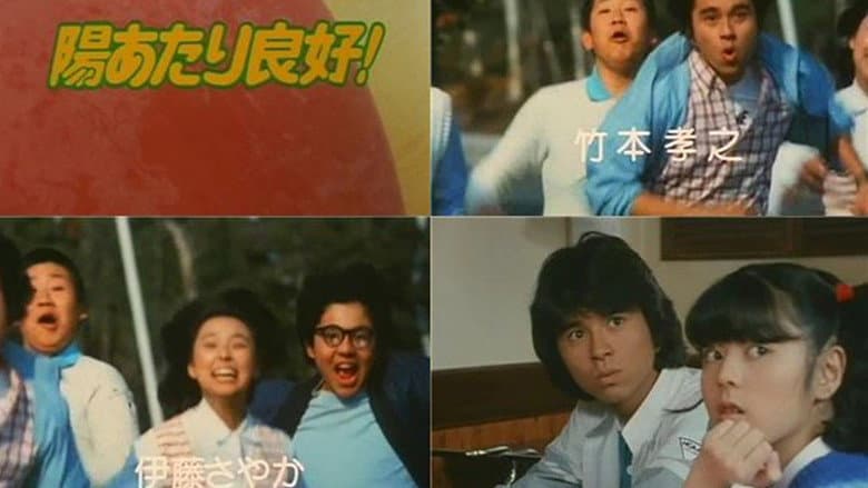 陽あたり良好