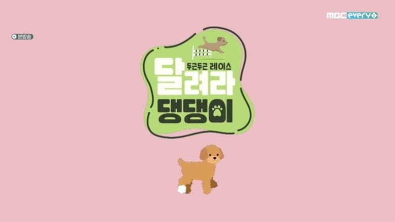달려라 댕댕이