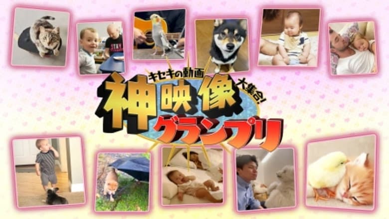 キセキの動画大集合！“神”映像グランプリ
