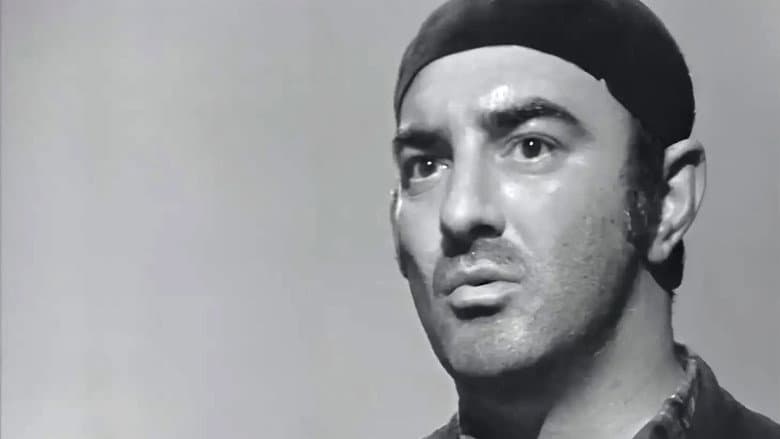 Diplomci