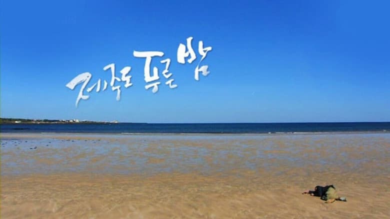 드라마 시티: 제주도 푸른밤