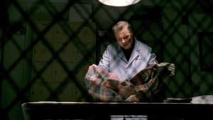 Sexo, Mentiras e Larvas