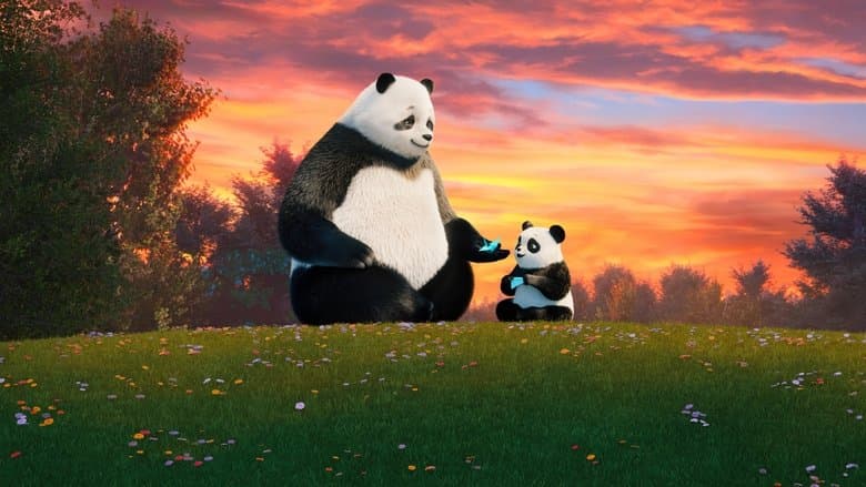 Sereno: O Panda Zen
