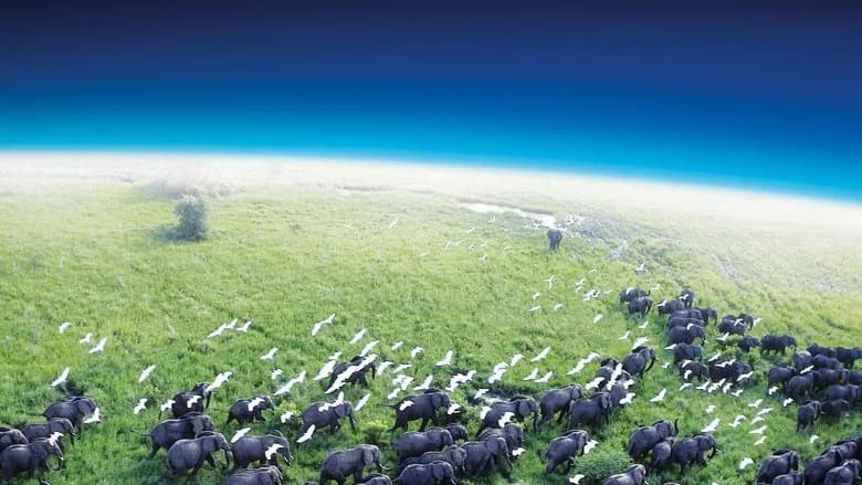 Planeta Terra