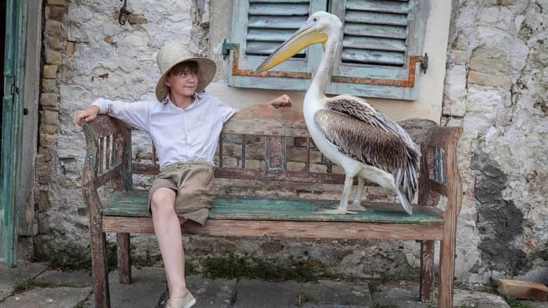 Os Durrells